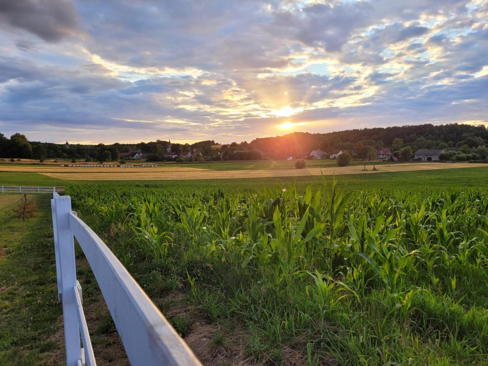 Domek Na Pagorku Lwowek Slaski Buitenkant foto