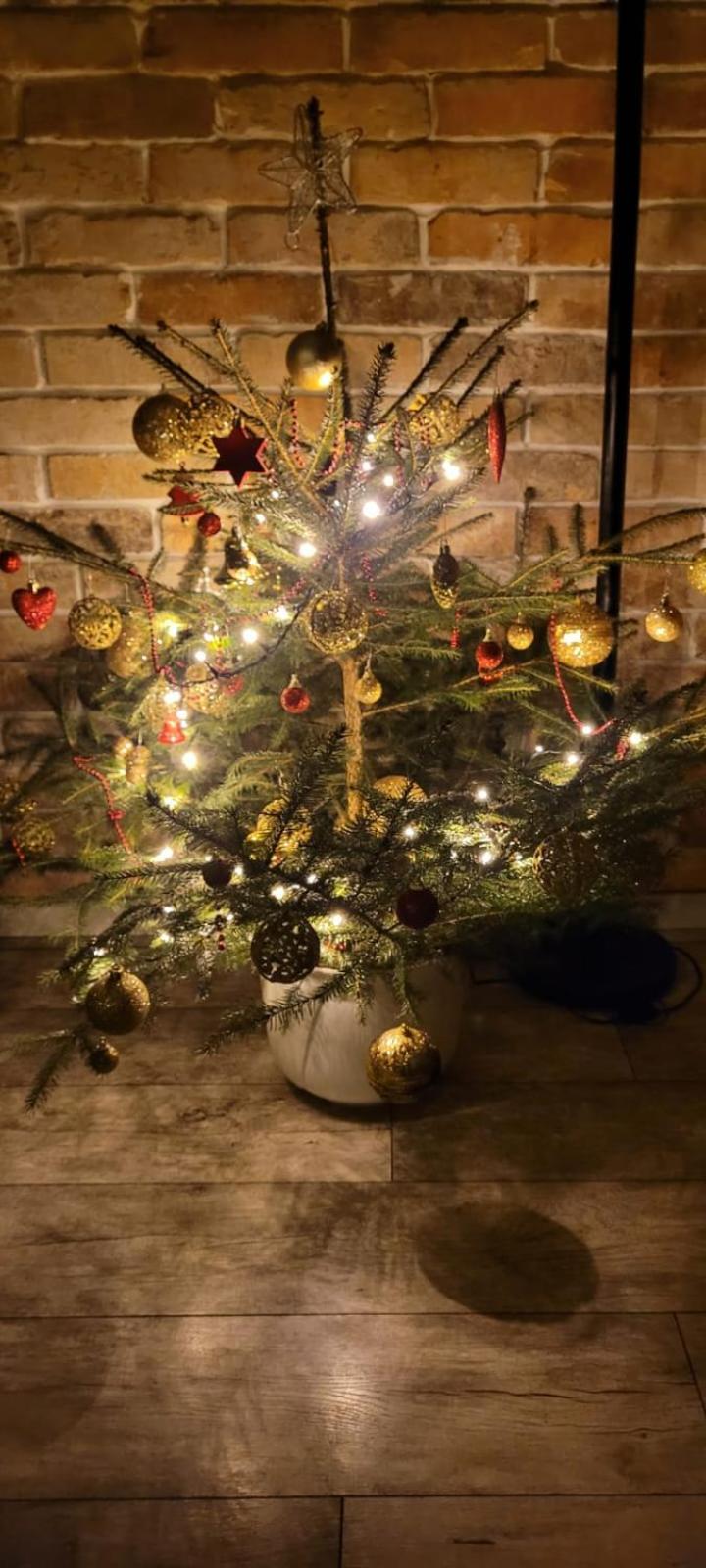 Domek Na Pagorku Lwowek Slaski Buitenkant foto